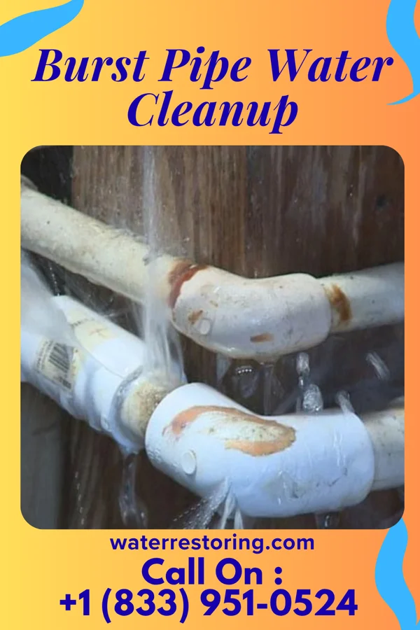 Burst Pipe Water Cleanup in Knightsville, IN