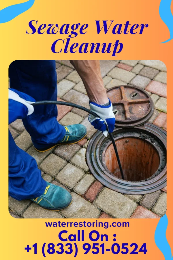 Sewage Water Cleanup in Knightsville, IN