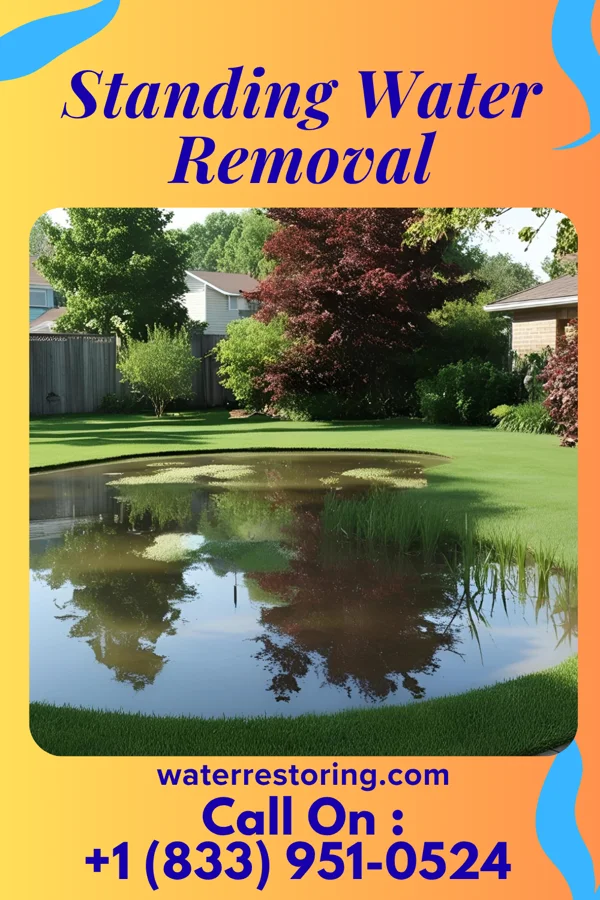 Standing Water Removal in Knightsville, IN